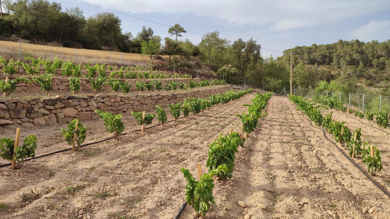 Cal Ros Acomodação com café da manhã Calonge de Segarra Exterior foto